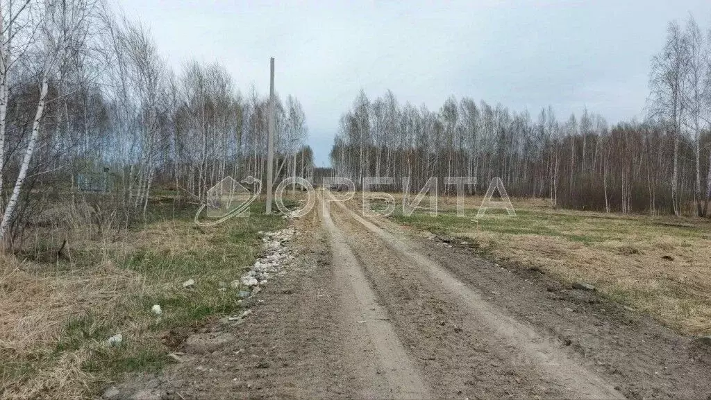 Участок в Тюменская область, Нижнетавдинский район, Строитель ТСН  ... - Фото 0