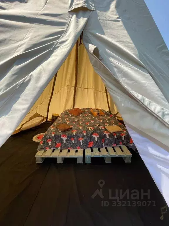 Дом в Псковская область, Островский муниципальный округ, д. Трушки  ... - Фото 1