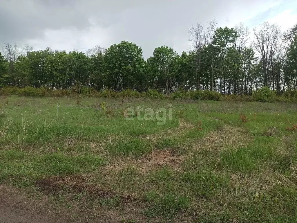 Участок в Воронежская область, Семилукский район, с. Девица, Поречье-2 ... - Фото 2