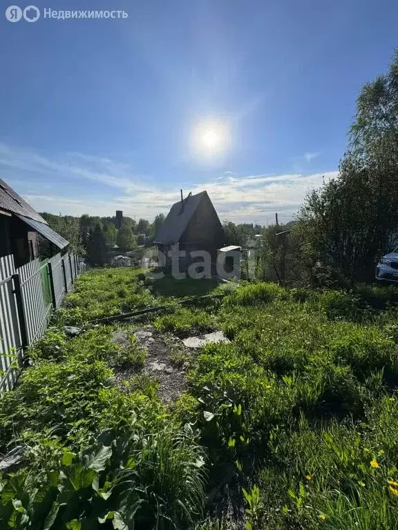 Участок в Кемеровский муниципальный округ, СНТ Берёзка 1 (5 м) - Фото 2