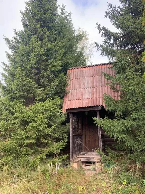 Участок в Московская область, Химки городской округ, Дубрава СНТ 22 ... - Фото 1