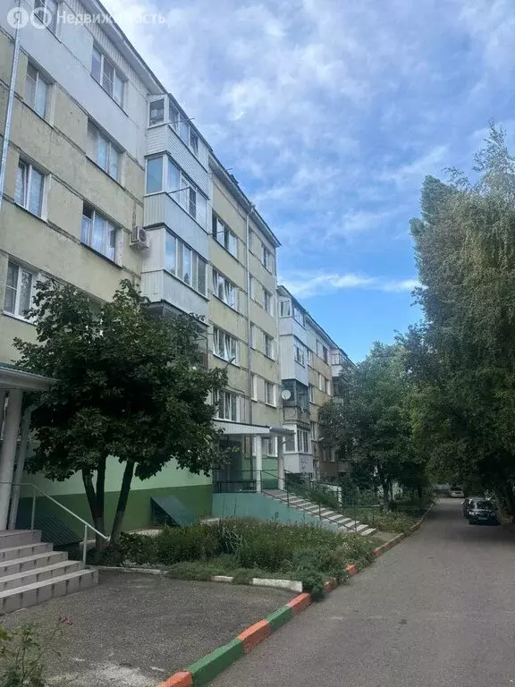 1-комнатная квартира: ставрополь, улица доваторцев, 59/3 (34 м) - Фото 0