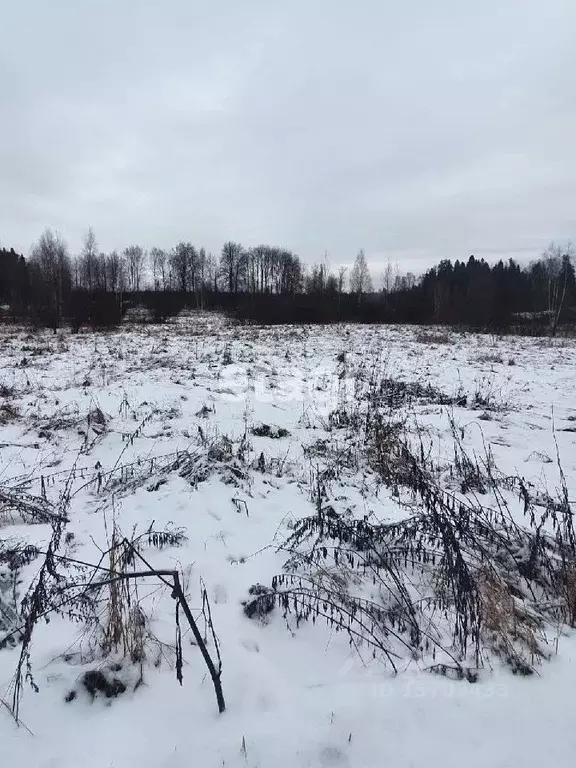 Участок в Ленинградская область, Выборгский район, Советское городское ... - Фото 1