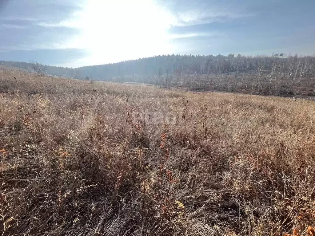 Участок в Забайкальский край, Ононский муниципальный округ, с. Нижний ... - Фото 1