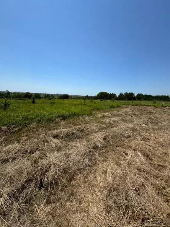 Участок в Краснодарский край, Анапа муниципальное образование, пос. ... - Фото 0