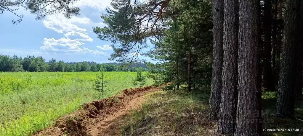 Участок в Тверская область, Калининский муниципальный округ, д. ... - Фото 1