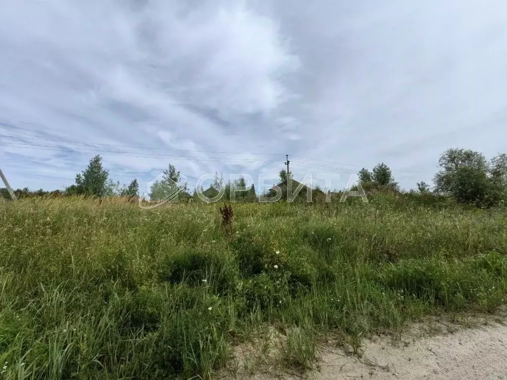 Участок в Тюменская область, Тюменский район, с. Мальково Новая ул., ... - Фото 1