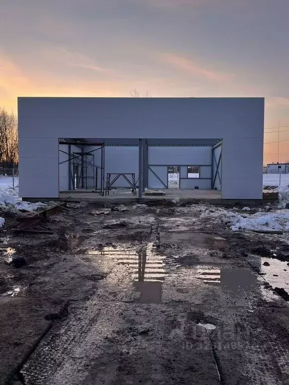 Торговая площадь в Московская область, Истра муниципальный округ, д. ... - Фото 1