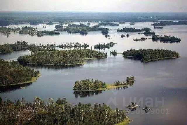 Участок в Ленинградская область, Приозерский район, Ларионовское ... - Фото 1