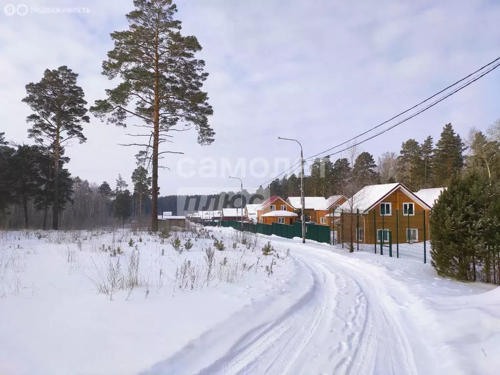 Участок в Кубовинский сельсовет, садоводческое товарищество Лесная ... - Фото 0