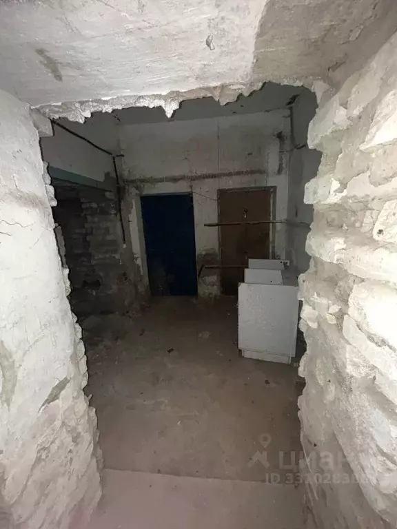 Помещение свободного назначения в Кировская область, Киров ул. Молодой ... - Фото 1