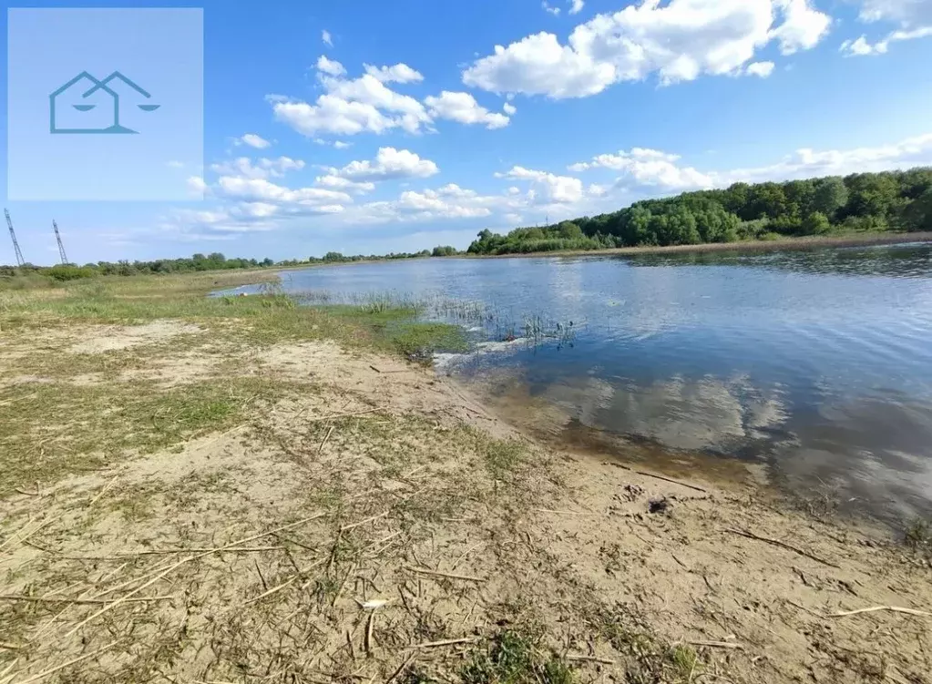 Участок в Воронежская область, Новоусманский район, с. Бабяково ... - Фото 1