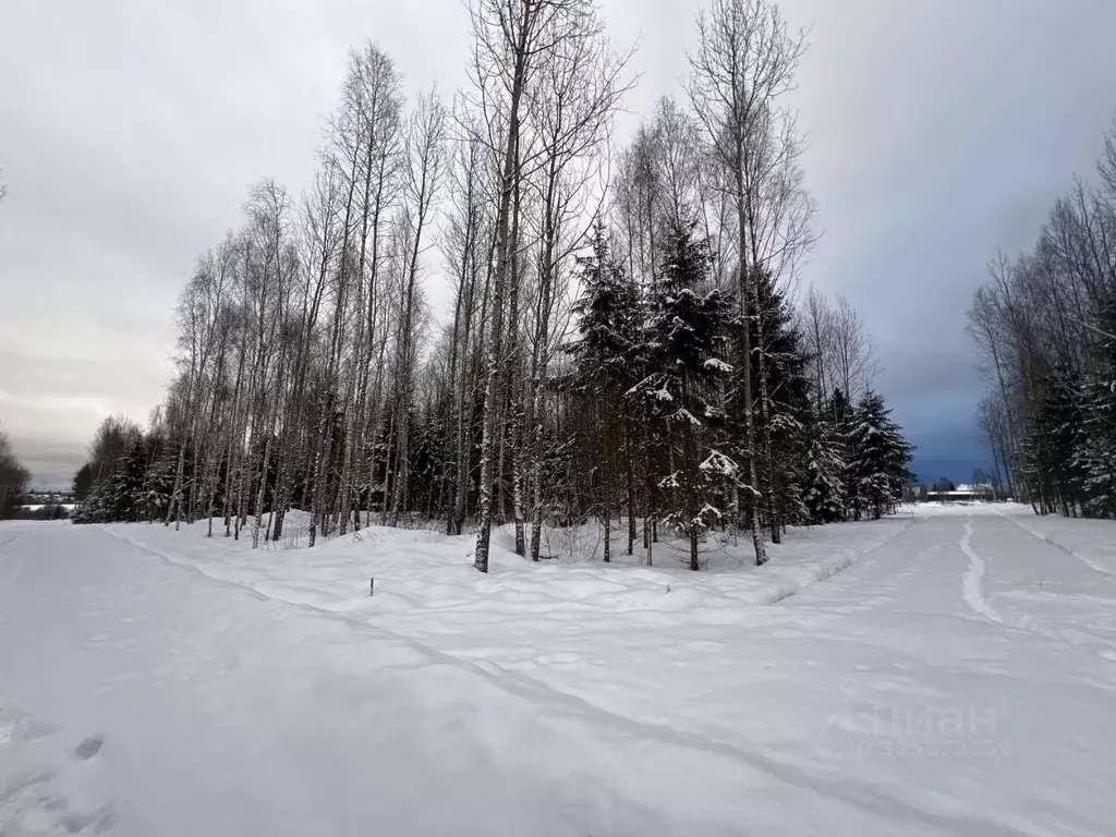 Участок в Московская область, Дмитровский муниципальный округ, ... - Фото 1