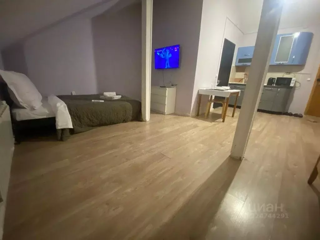 1-к кв. Московская область, Подольск Воговец СНТ, 206 (30.0 м) - Фото 2