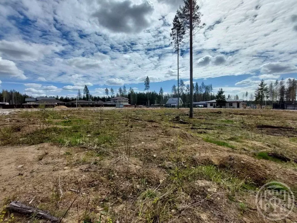 Участок в Ленинградская область, Сертолово Всеволожский район, Медное ... - Фото 1
