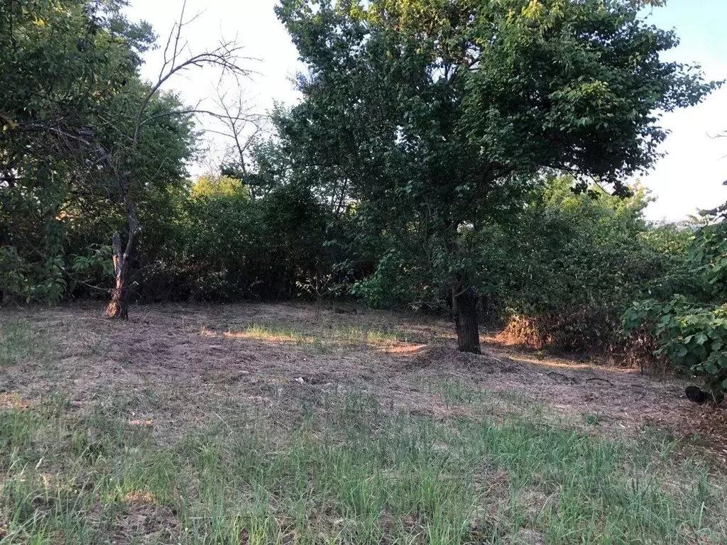 Участок в Краснодарский край, Темрюкское городское поселение, пос. ... - Фото 1