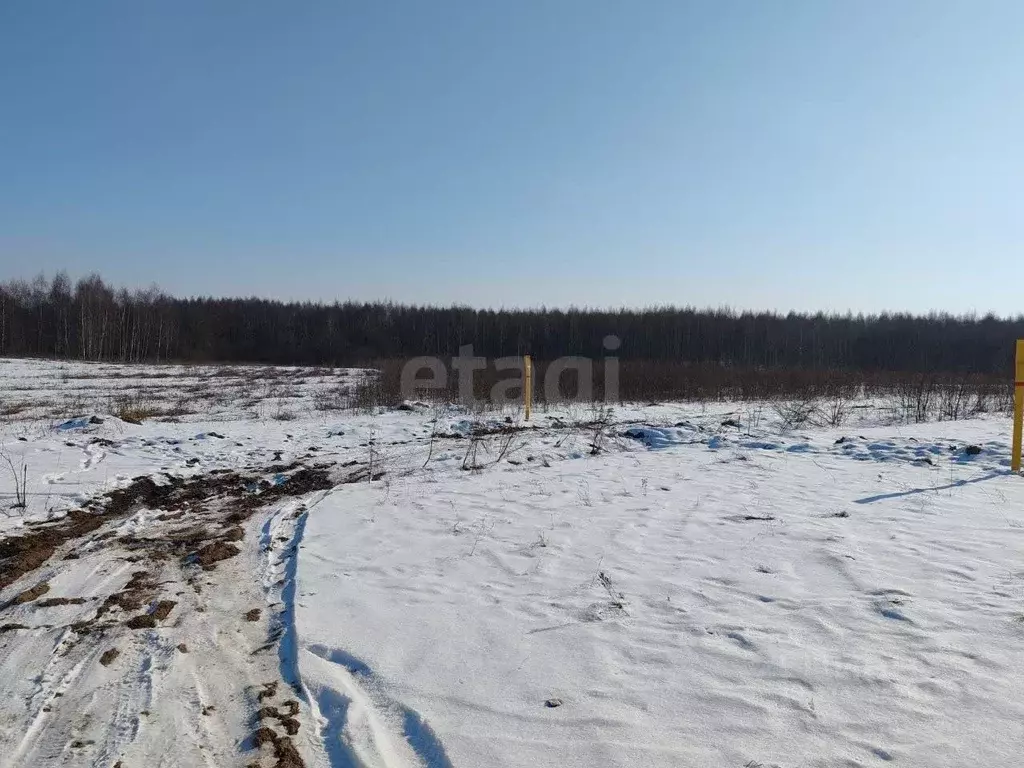 Участок в Смоленская область, Смоленский муниципальный округ, д. Лубня ... - Фото 1