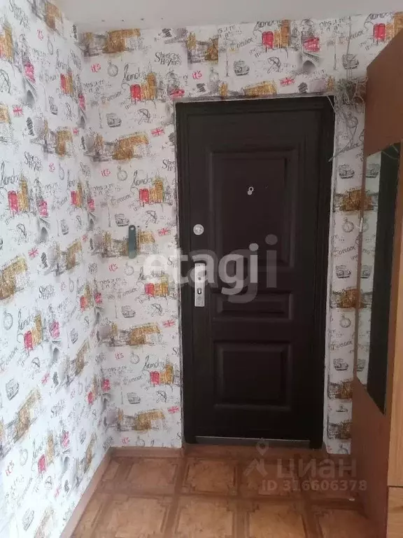 Комната Новосибирская область, Бердск ул. Герцена, 17 (18.8 м) - Фото 0