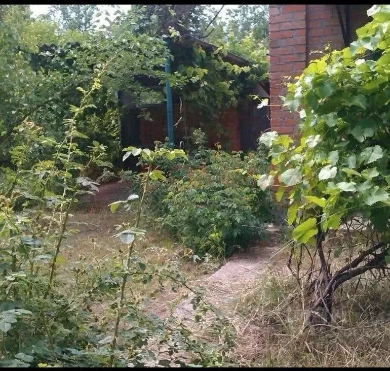 Дом в Ростовская область, Новочеркасск Троицкая пл. (20 м) - Фото 1