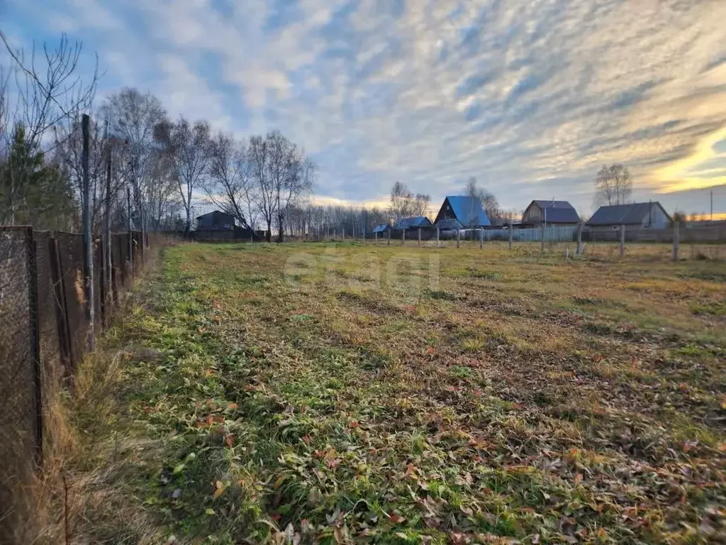 Участок в Тюменская область, Нижнетавдинский муниципальный округ, пос. ... - Фото 1