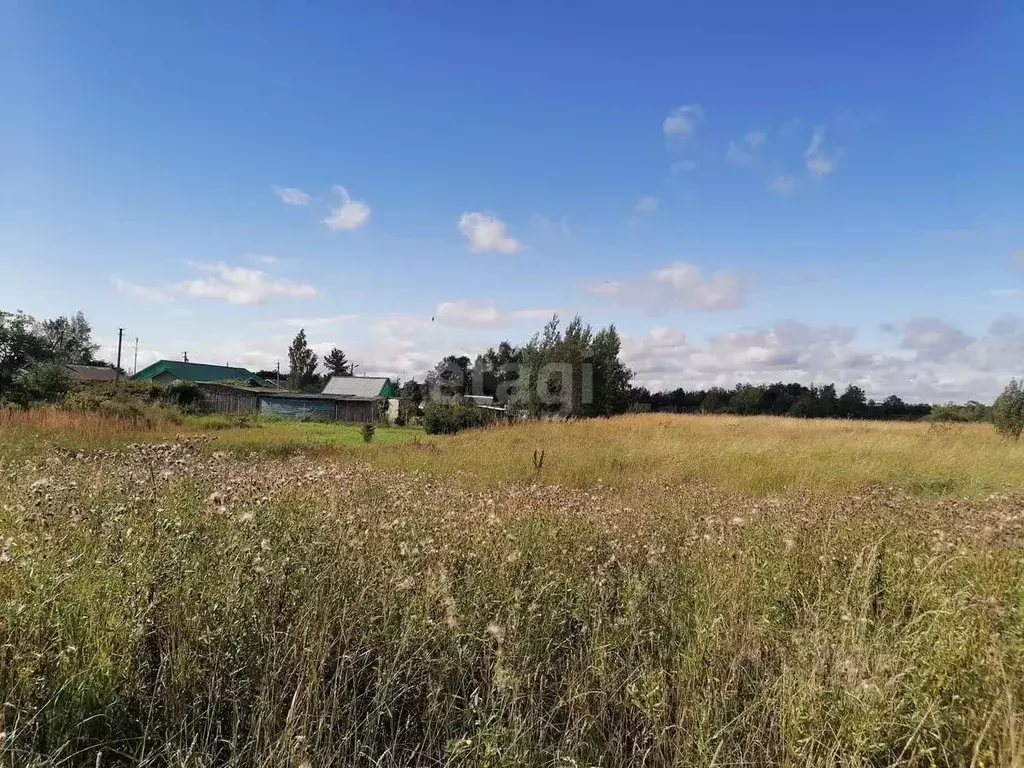 Участок в Псковская область, Островский район, Островская волость, д. ... - Фото 0