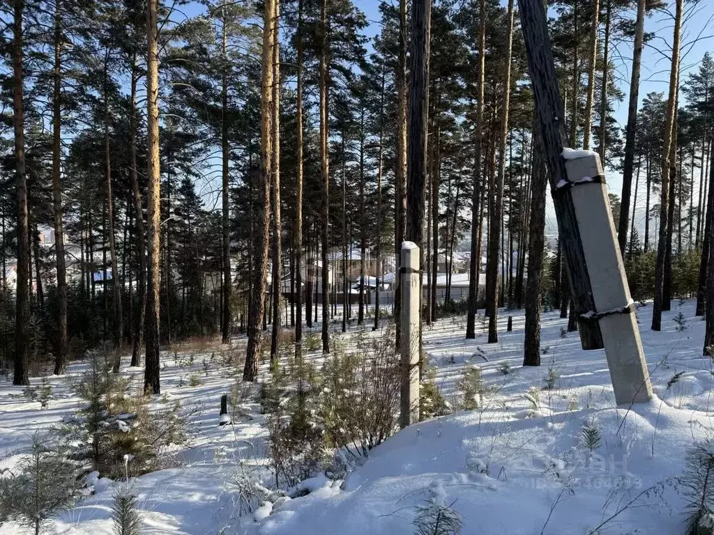 Участок в Бурятия, Улан-Удэ пос. Светлый, ул. Живописная (7.4 сот.) - Фото 1