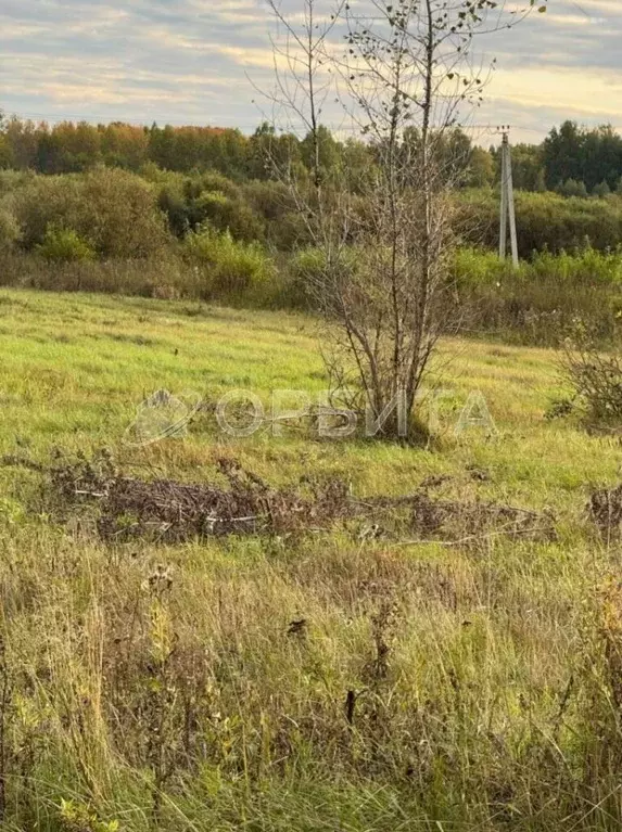 Участок в Тюменская область, Тюмень  (6.6 сот.) - Фото 2