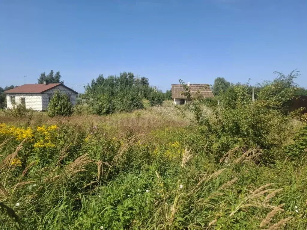 Участок в Калининградская область, Багратионовский муниципальный ... - Фото 1