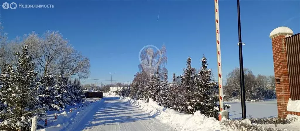 Участок в Рязанский муниципальный округ, деревня Сергеевка (30 м) - Фото 1