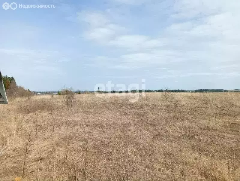 Участок в Пермский край, Ильинский муниципальный округ, село Филатово ... - Фото 1