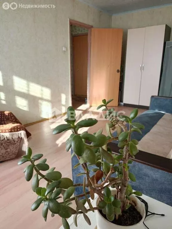 1-комнатная квартира: Электросталь, Ногинское шоссе, 6 (37 м) - Фото 2