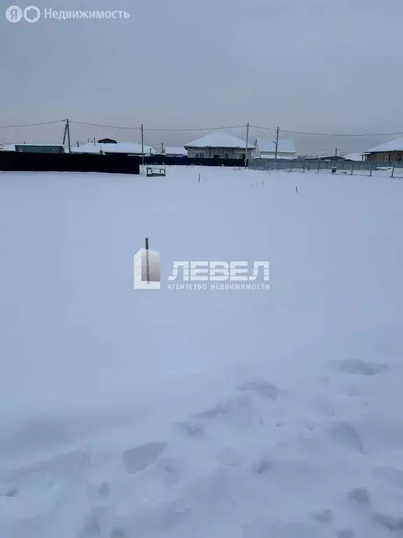 Участок в Московская область, городской округ Домодедово, деревня ... - Фото 2