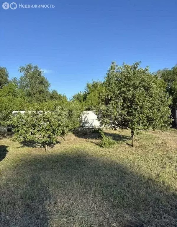 Участок в село Александровка Донская, Курортная улица (13.2 м) - Фото 1