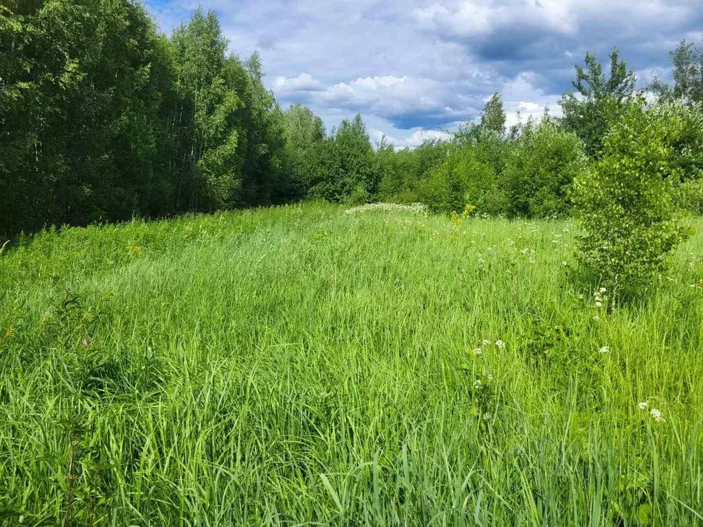 Участок в Нижегородская область, Богородский муниципальный округ, с. ... - Фото 1