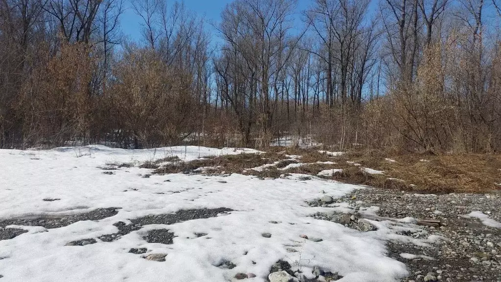 Участок в Алтай, Майминский район, с. Майма ул. Кирова (10.0 сот.) - Фото 2