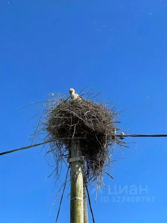 Дом в Ленинградская область, Сланцевский район, Старопольское с/пос, ... - Фото 2