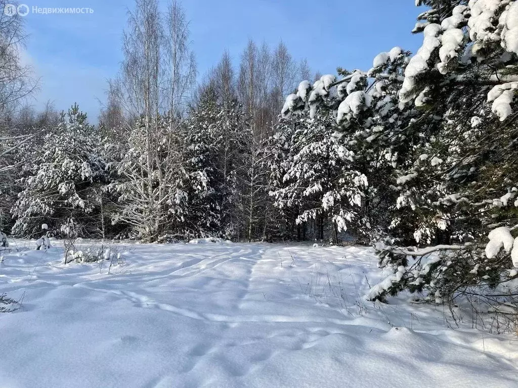 Участок в Тверская область, Кимрский муниципальный округ, деревня ... - Фото 2