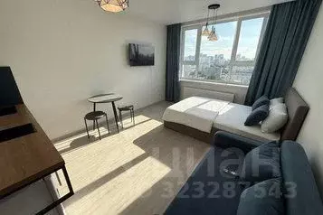 1-к кв. Свердловская область, Екатеринбург ул. Фрунзе, 31/2 (26.0 м) - Фото 1