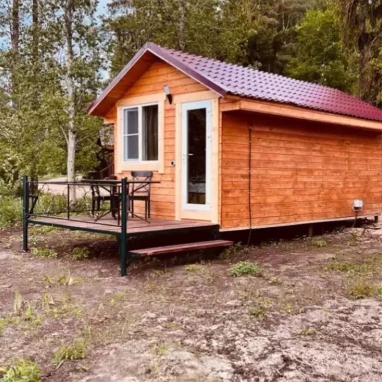 Дом в Псковская область, Гдов  (18 м) - Фото 1