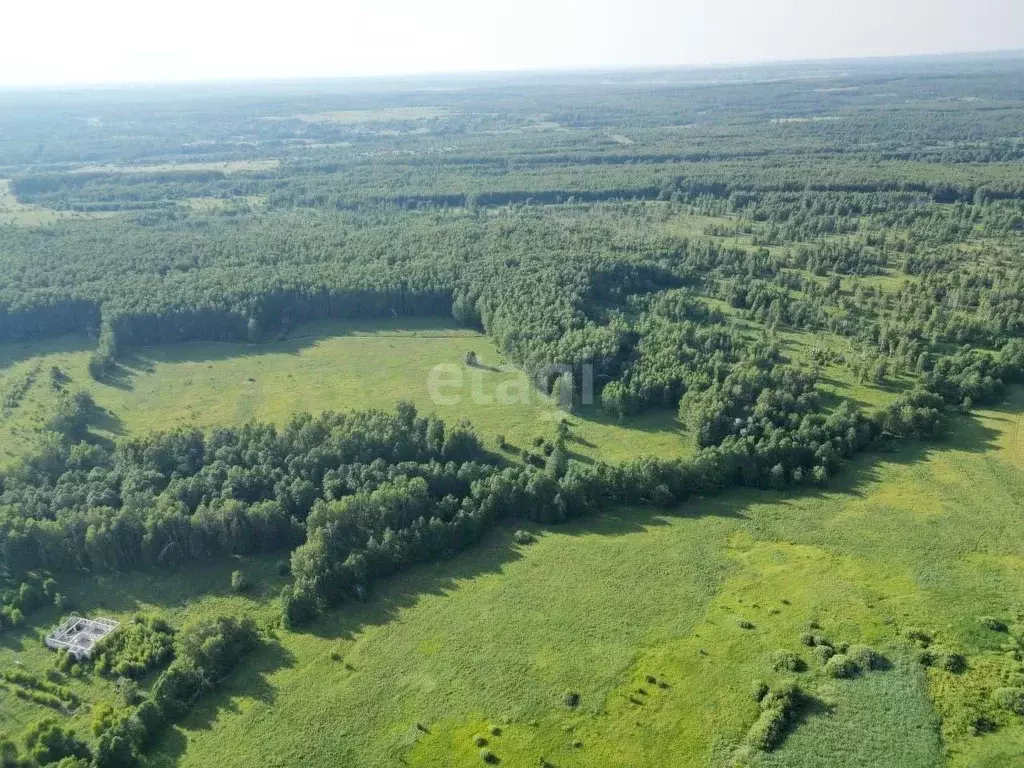 участок в нижегородская область, богородский муниципальный округ, д. . - Фото 1