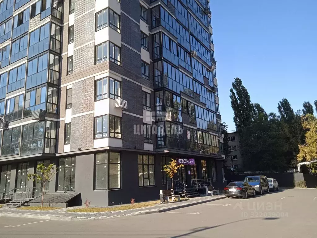 Студия Воронежская область, Воронеж ул. Ворошилова, 63/2 (18.5 м) - Фото 0