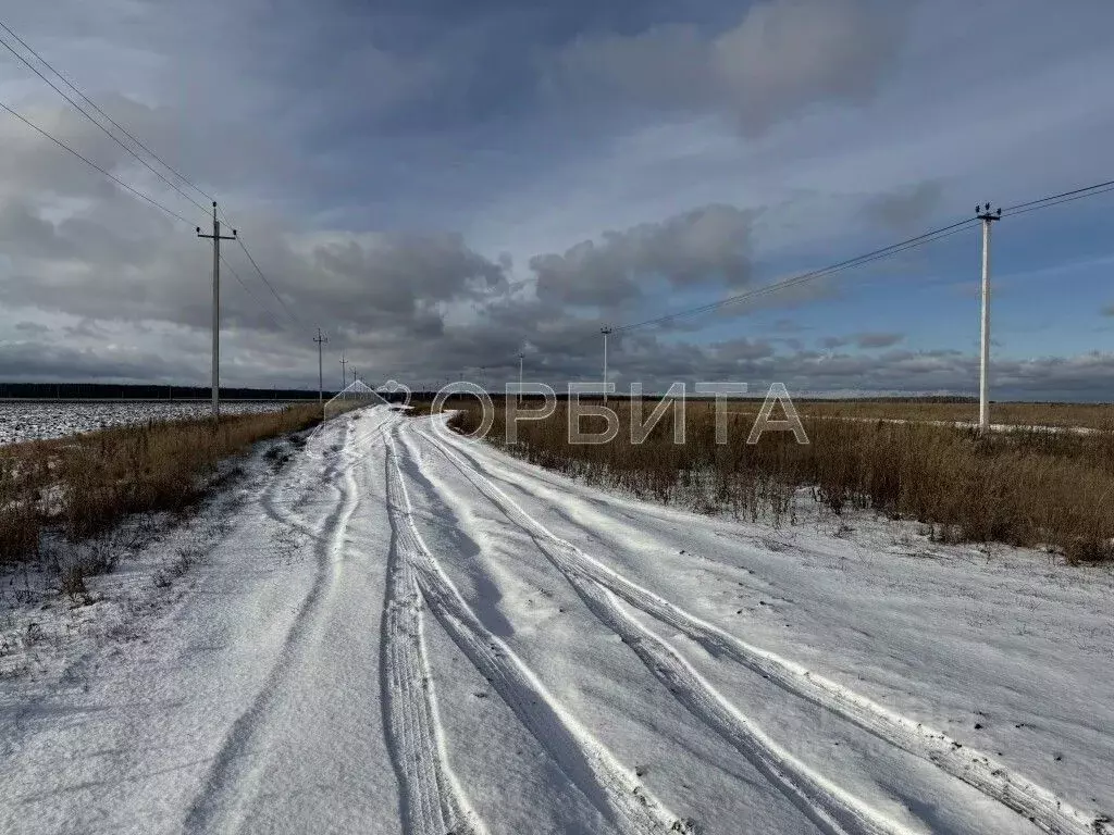 Участок в Тюменская область, Нижнетавдинский район, д. Новоуфимка  ... - Фото 2