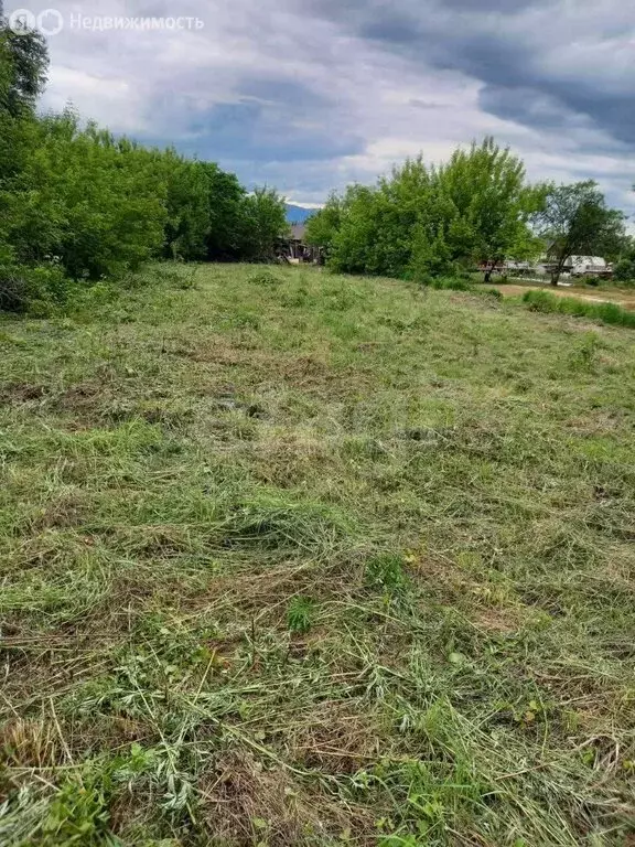 Участок в Приморский край, Яковлевский муниципальный округ, село ... - Фото 2
