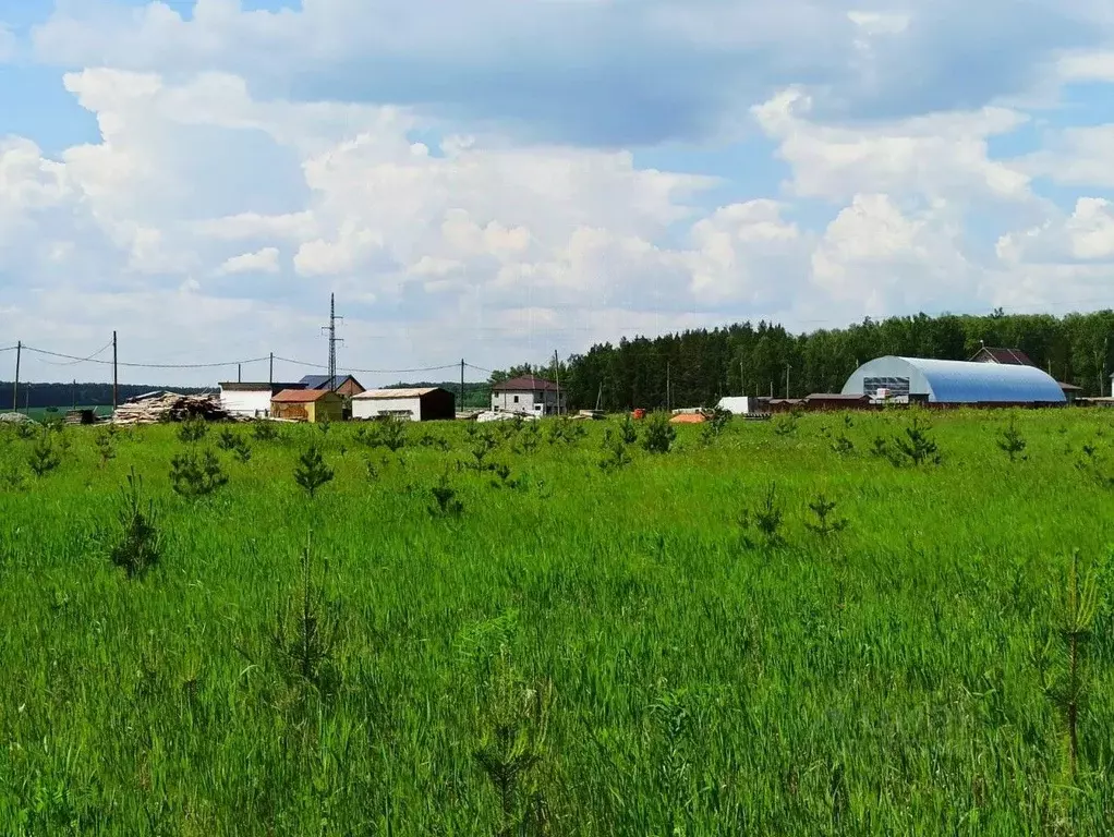 Участок в Свердловская область, Белоярский городской округ, пос. ... - Фото 0