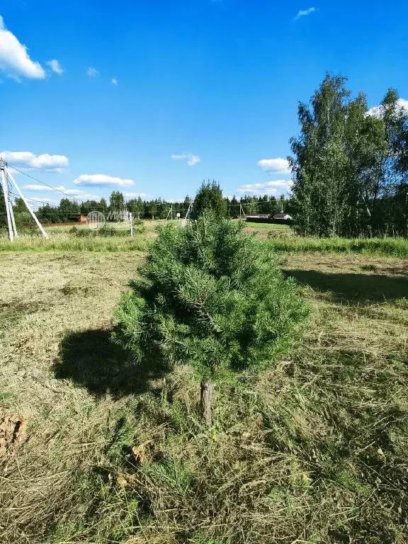 Продается участок в д. Горки - Фото 2