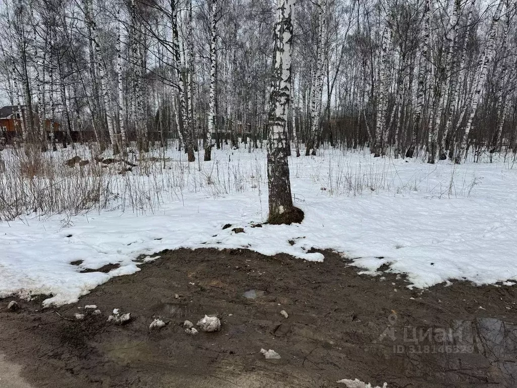 Участок в Московская область, Богородский городской округ, имени ... - Фото 1