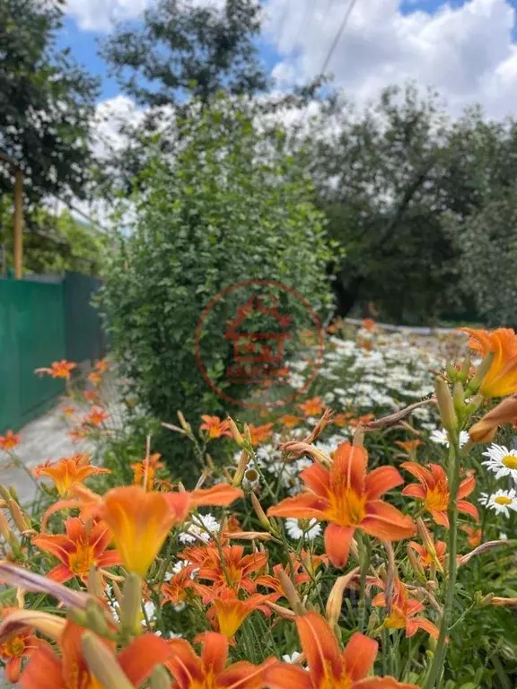Участок в Краснодарский край, Армавир городской округ, Красная Поляна ... - Фото 1