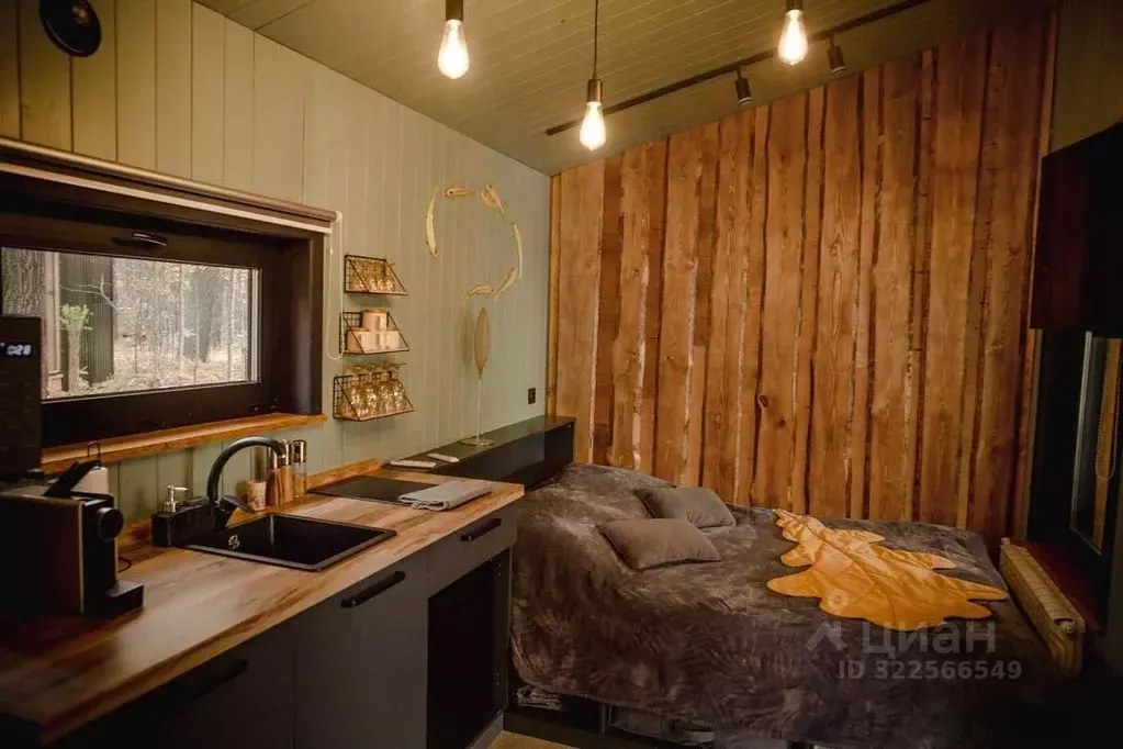 Дом в Нижегородская область, Бор  (15 м) - Фото 2