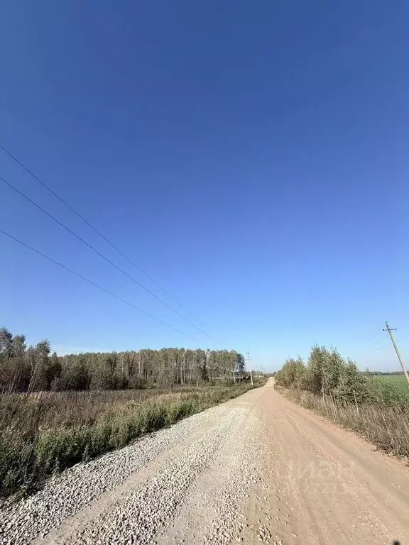 Участок в Калужская область, Дзержинский муниципальный округ, ... - Фото 2