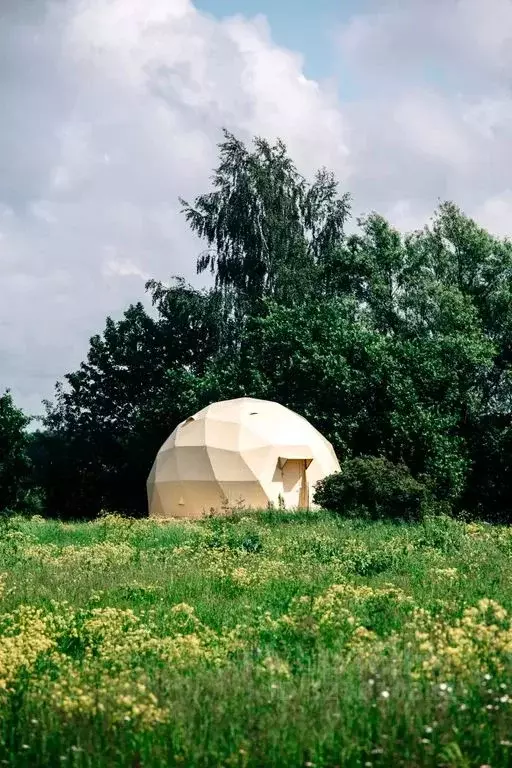 Дом в Ярославская область, Некрасовский муниципальный округ, пос. ... - Фото 0